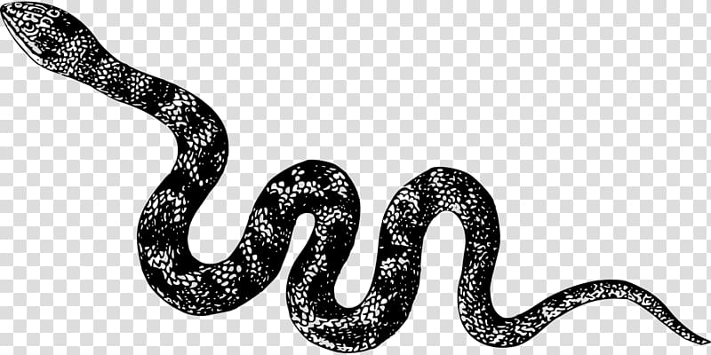 T-shirt Snake Cobra Spreadshirt, T-shirt transparent background PNG clipart