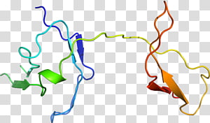 Line Point Organism , line transparent background PNG clipart thumbnail
