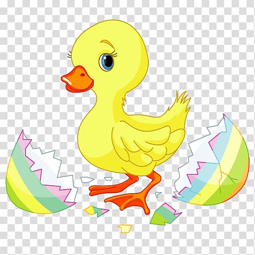 Duck Easter Bunny , duck transparent background PNG clipart