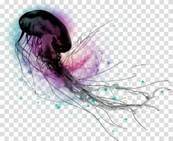 Jellyfish transparent background PNG clipart