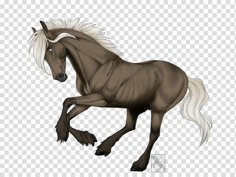 Mane Mustang Stallion Pony Foal, xuandong start running transparent background PNG clipart