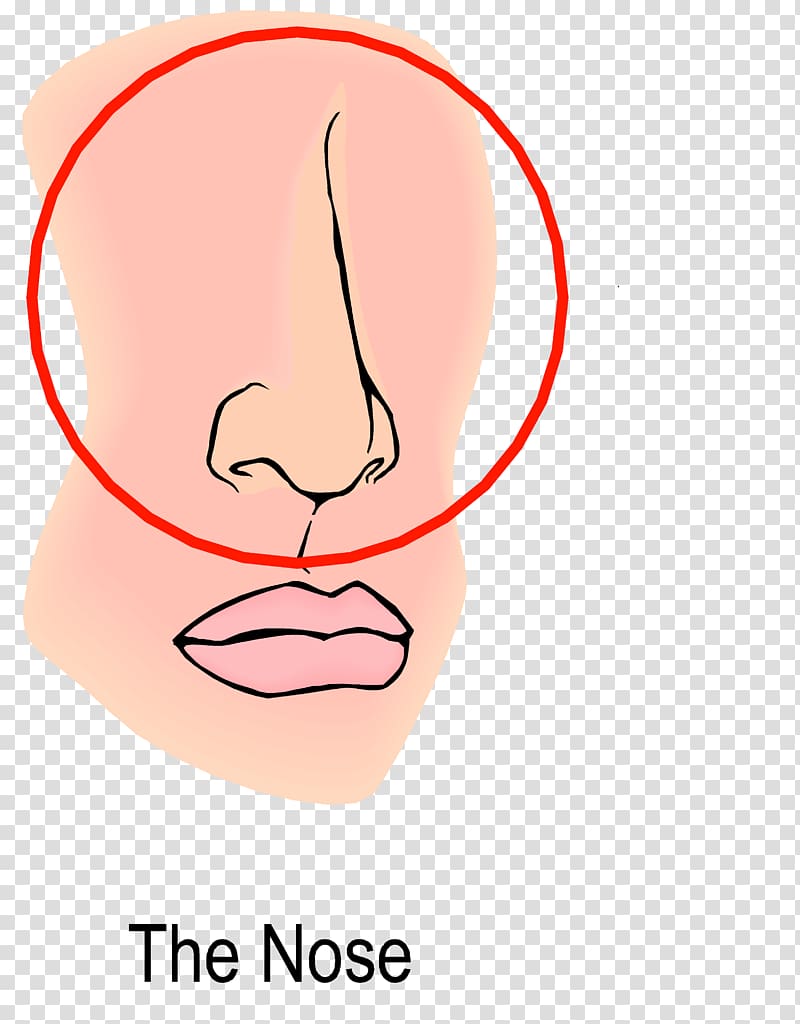 Pursed lip breathing Chronic Obstructive Pulmonary Disease Diaphragmatic breathing Nose, nose transparent background PNG clipart