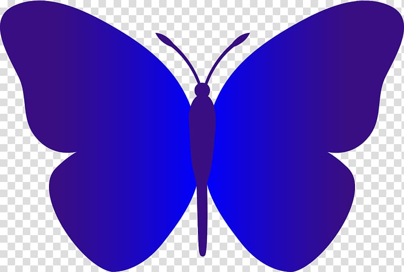 Butterfly Drawing , butterfly transparent background PNG clipart