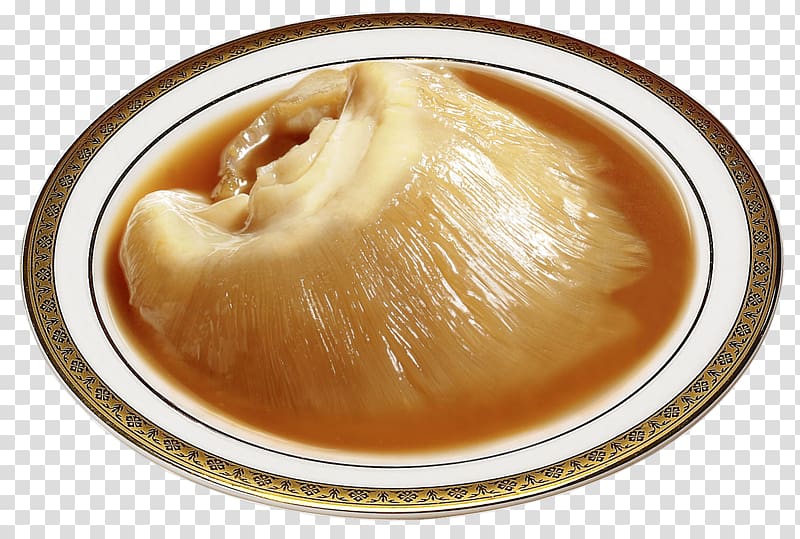 Shark fin soup Chinese cuisine Food, shark transparent background PNG clipart