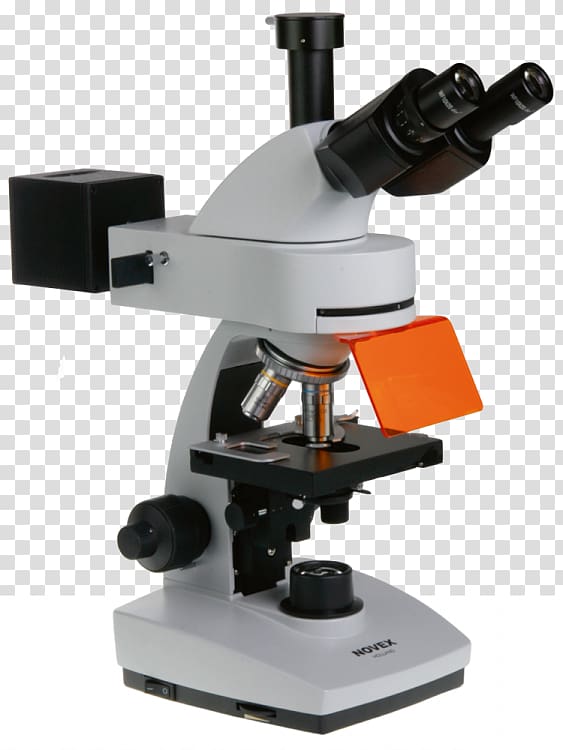 Fluorescence microscope Eyepiece Microscopy, fluorescence microscope transparent background PNG clipart
