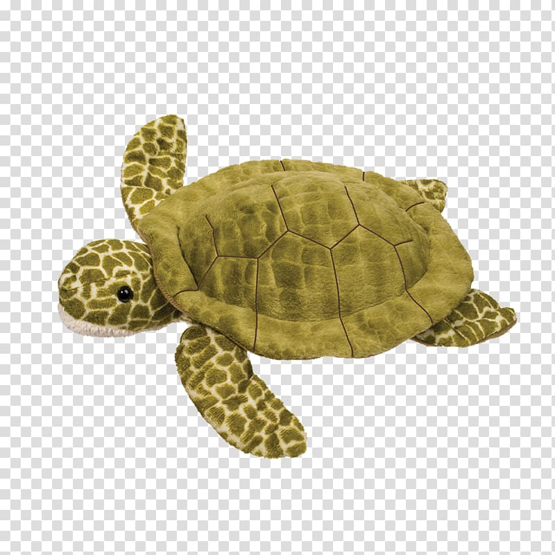 Loggerhead sea turtle Stuffed Animals & Cuddly Toys Pond turtles, turtle transparent background PNG clipart