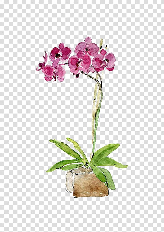Watercolor painting Orchids Drawing Printmaking, Watercolor flowers transparent background PNG clipart