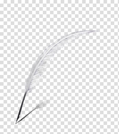 Feather Computer file, Attractive feather material transparent background PNG clipart