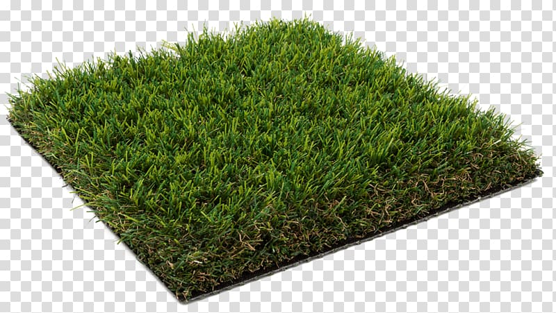 Artificial turf Lawn Garden Carpet Flooring, carpet transparent background PNG clipart