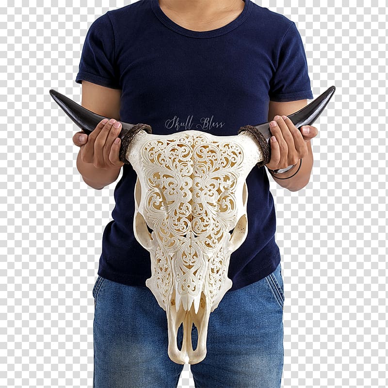 Cattle XL Horns Skull Milk, buffalo skull transparent background PNG clipart