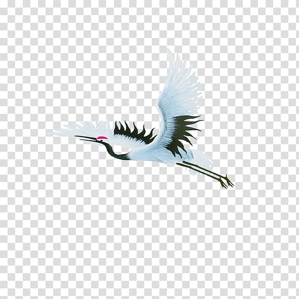 white and gray bird , Red-crowned crane Bird Siberian crane, crane transparent background PNG clipart
