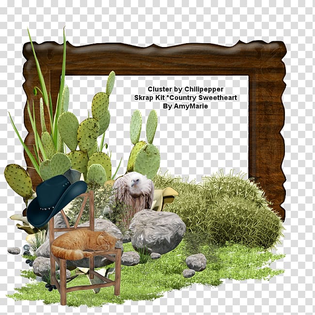 Frames Decorative arts, country Western transparent background PNG clipart