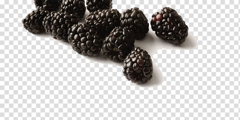 Gelatin dessert Frutti di bosco Marmalade Black Raspberry, Black Raspberries Free transparent background PNG clipart
