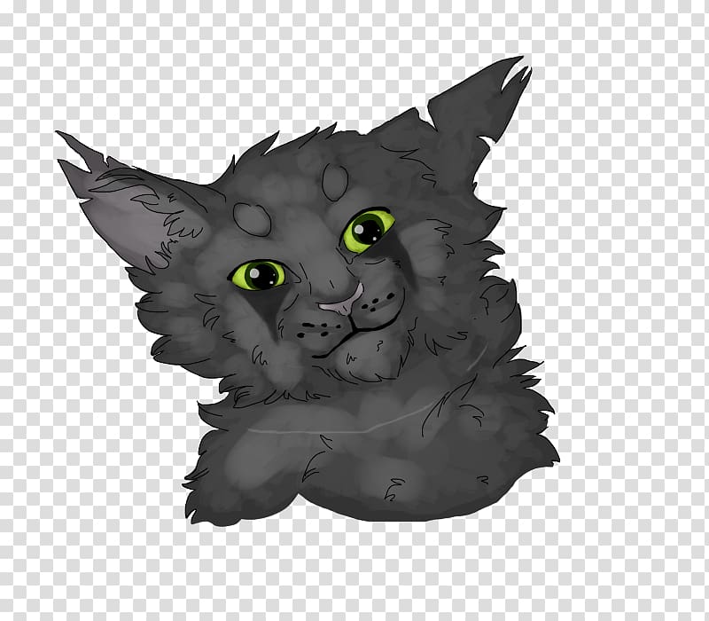 Whiskers Korat Kitten Black cat Snout, Green Eye transparent background PNG clipart