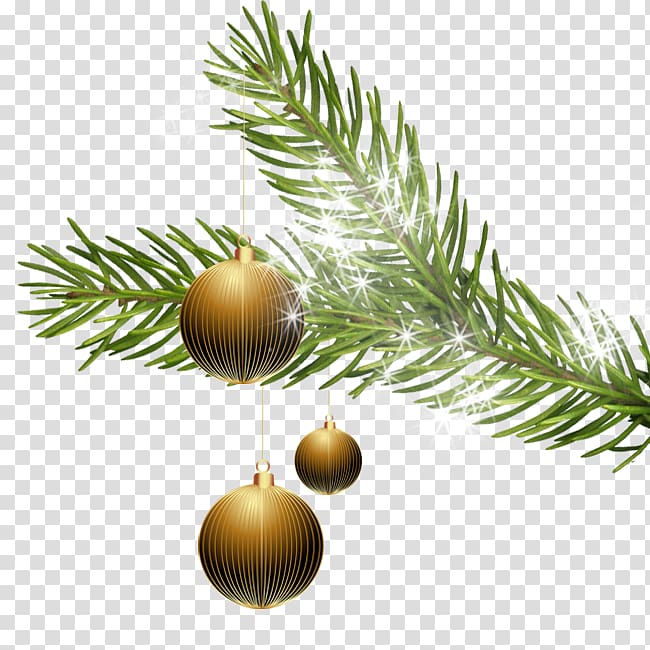 Secondary Vocational Technical School Christmas ornament Fir Hlavná, others transparent background PNG clipart