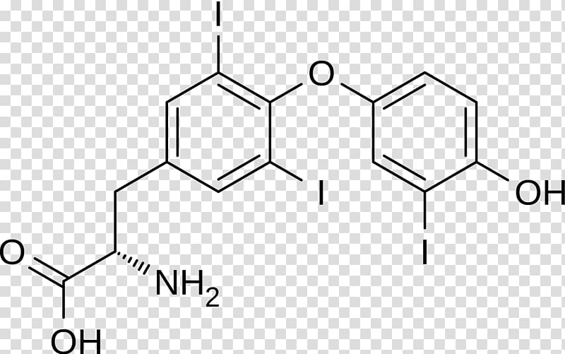 Letrozole Molecule Aromatase Estrogen Hormone, thyroid gland transparent background PNG clipart