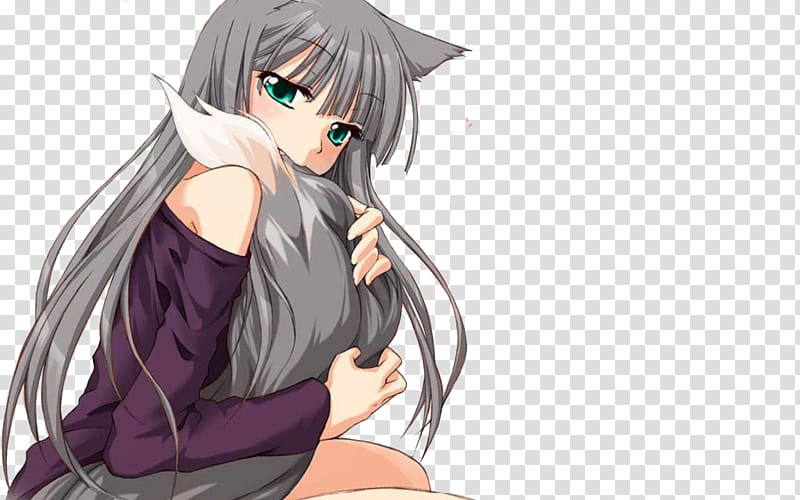 Spice and Wolf Anime Gray wolf Drawing, spice and wolf transparent background PNG clipart