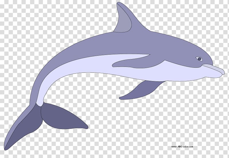 Dolphin Drawing Bitmap , [dolphin transparent background PNG clipart