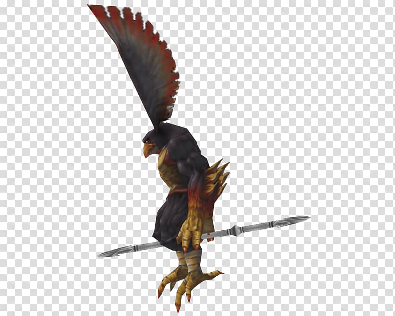 Eagle Fauna Beak Wildlife Feather, compendium transparent background PNG clipart