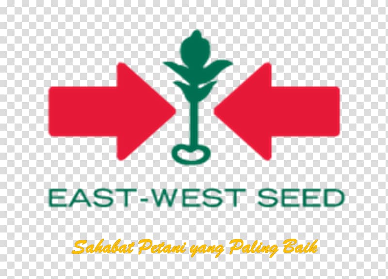 , East-West Seed East West Seeds India Private Limited Aurangabad East-West Seed Company, Inc., Kangkung transparent background PNG clipart