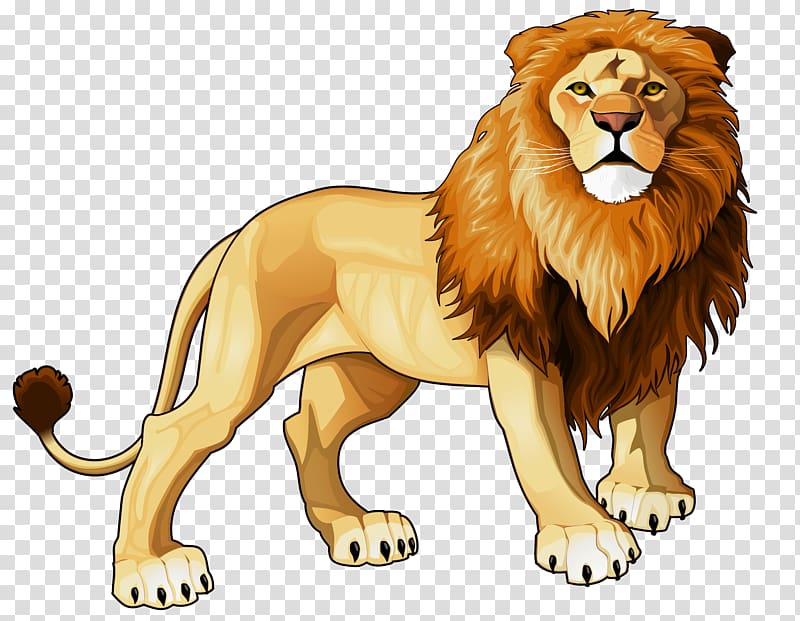 male lion , Lion , Lions Head transparent background PNG clipart