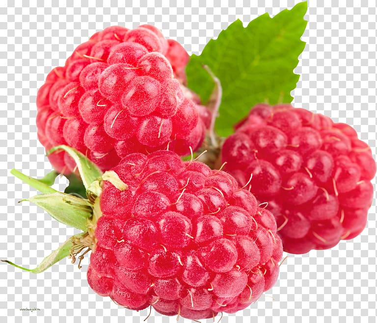 Raspberry ketone Vegetarian cuisine Health Fruit, raspberry transparent background PNG clipart