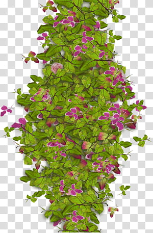 Floral design , design transparent background PNG clipart thumbnail