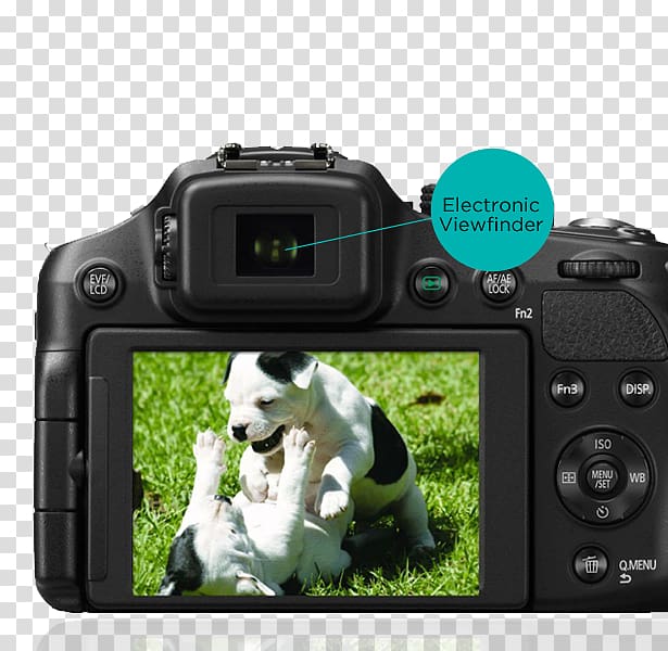Digital SLR Panasonic Lumix DMC-FZ200 Panasonic Lumix DMC-FZ300 Camera lens Bridge camera, camera lens transparent background PNG clipart