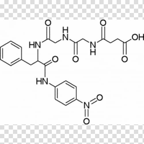 Duocarmycin Enzyme inhibitor Statin Competitive inhibition Medicinal chemistry, Succinyl Coenzyme A Synthetase transparent background PNG clipart