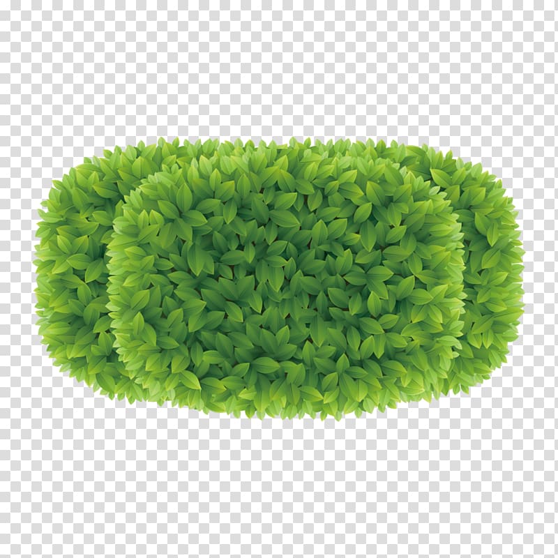 oval green grass illustration, Greening plan view diagram transparent background PNG clipart