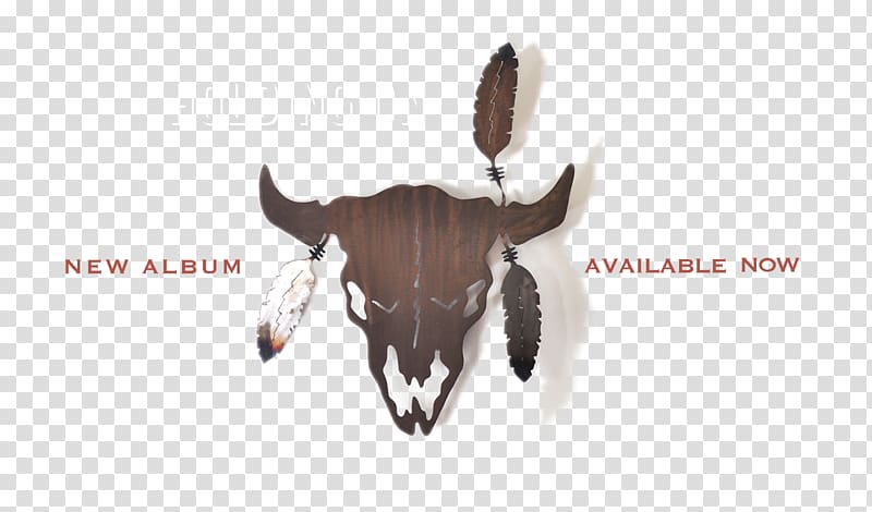 Country music Blues Americana Cattle, others transparent background PNG clipart