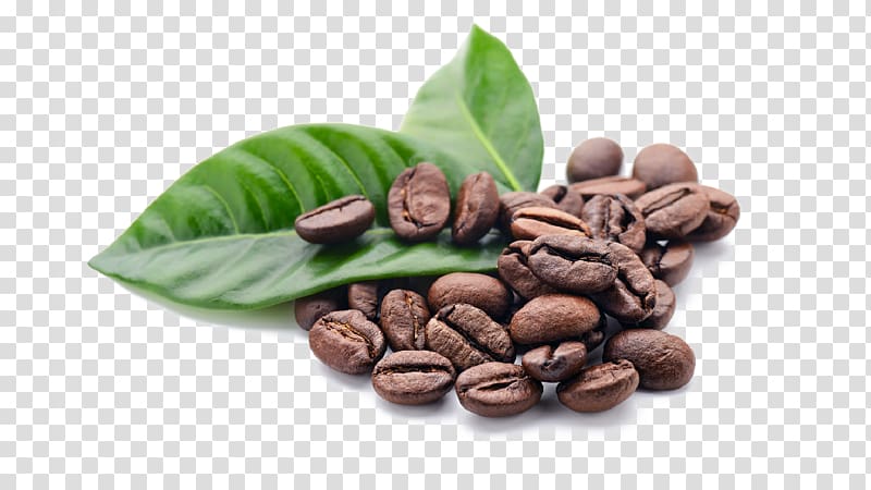 Jamaican Blue Mountain Coffee Cafe Single-origin coffee Espresso, Coffee transparent background PNG clipart
