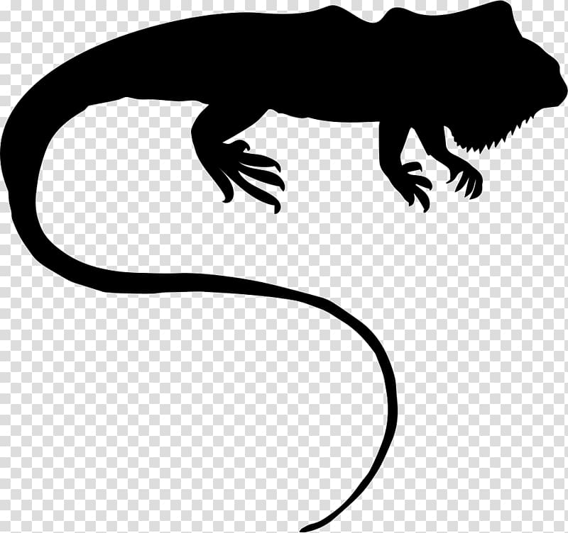 Common Iguanas Reptile Computer Icons, others transparent background PNG clipart