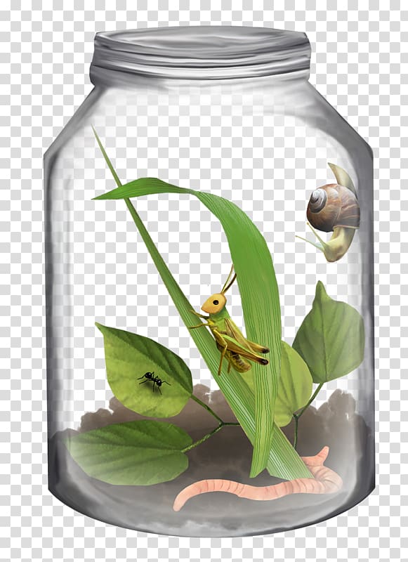 Bottle Jar , Bottling house insects transparent background PNG clipart