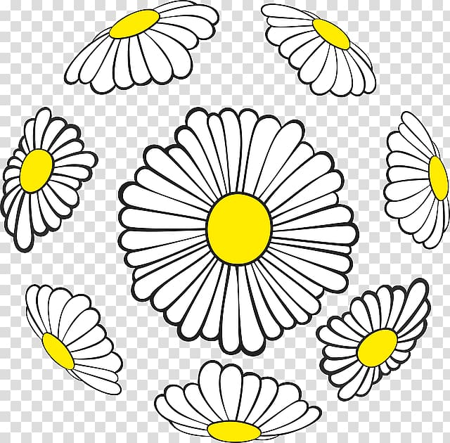 Floral design Common daisy Flower Sphere, flower transparent background PNG clipart