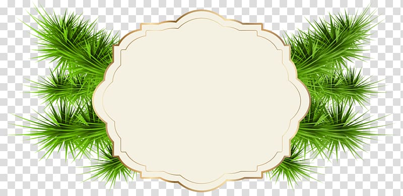 Santa Claus Christmas card Greeting & Note Cards, green label transparent background PNG clipart