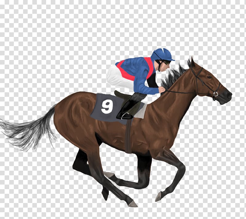 Icelandic horse Jockey Horse racing, runner transparent background PNG clipart