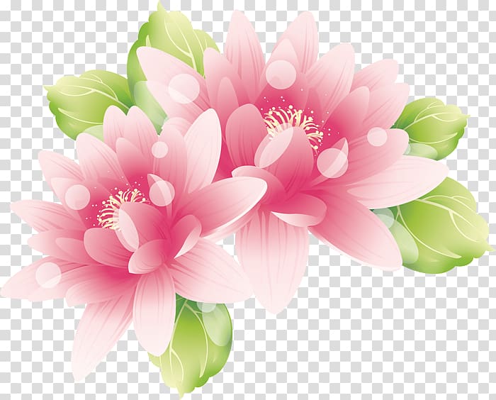 Pink flowers , painting lotus transparent background PNG clipart