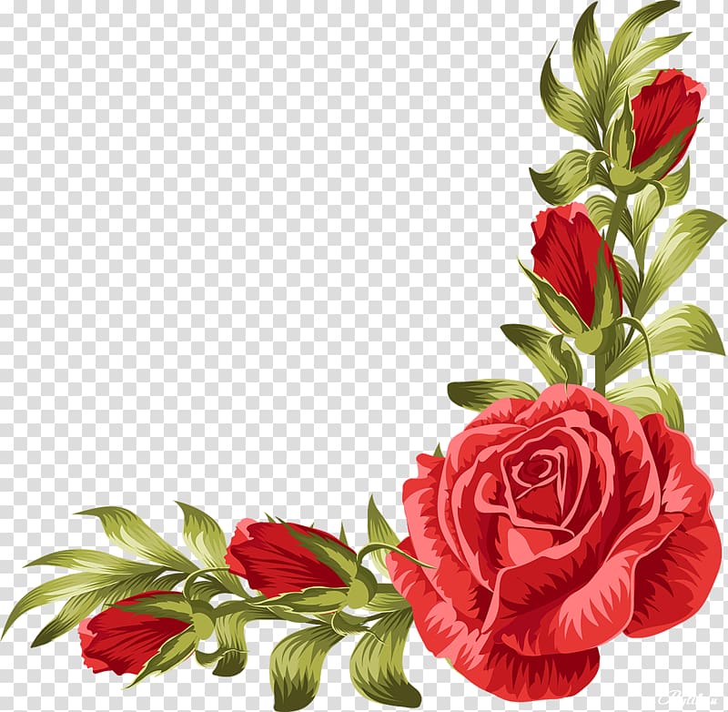 Descobrir 88+ imagem transparent background rose border ...