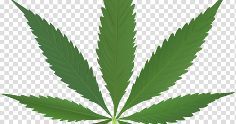 Cannabis sativa Medical cannabis Leaf Smoking, cannabis transparent background PNG clipart