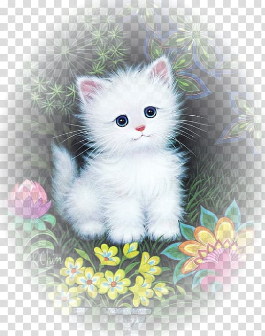 Kitten Persian cat Asian Semi-longhair Turkish Angora Ragamuffin cat, kitten transparent background PNG clipart