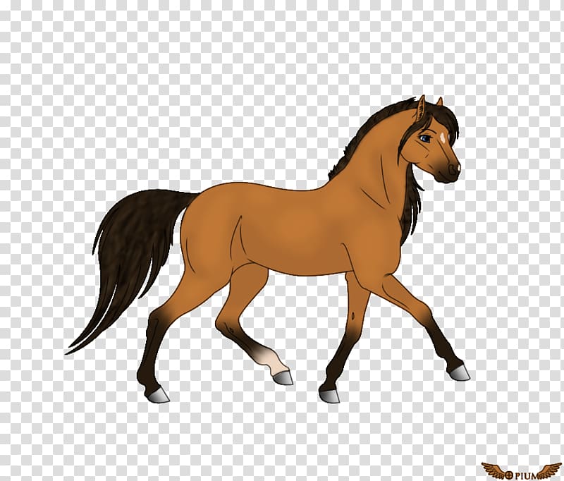 Stallion Mustang American Quarter Horse Foal Pintabian, mustang transparent background PNG clipart