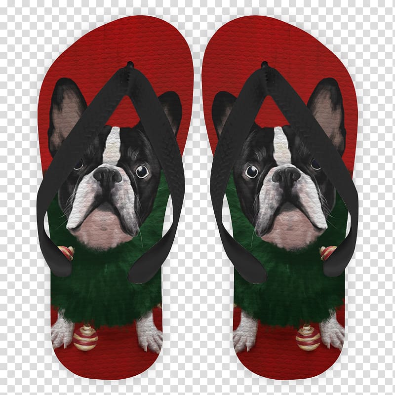 Boston Terrier Dog breed Non-sporting group Snout, victer transparent background PNG clipart