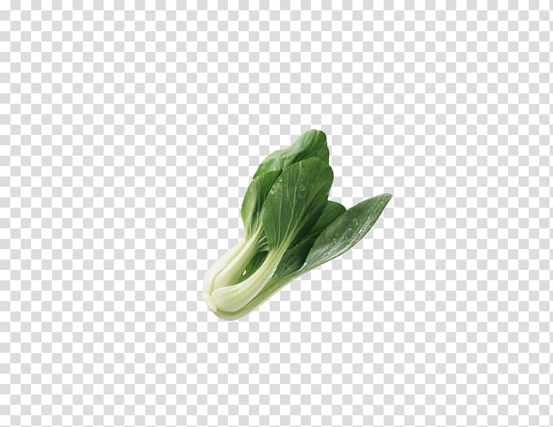 Vegetable Napa cabbage Fruit, Cabbage transparent background PNG clipart