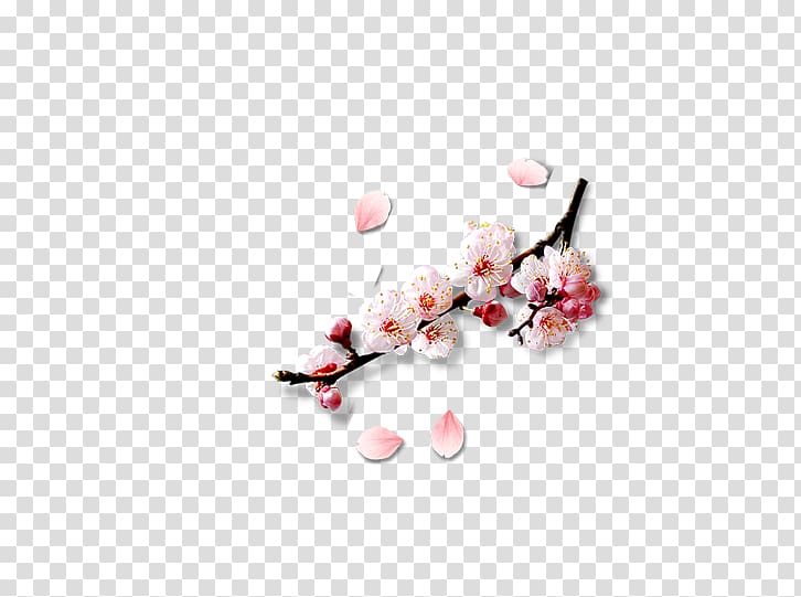 Petal Peach blossom Computer file, Pink peach Lucky element transparent background PNG clipart