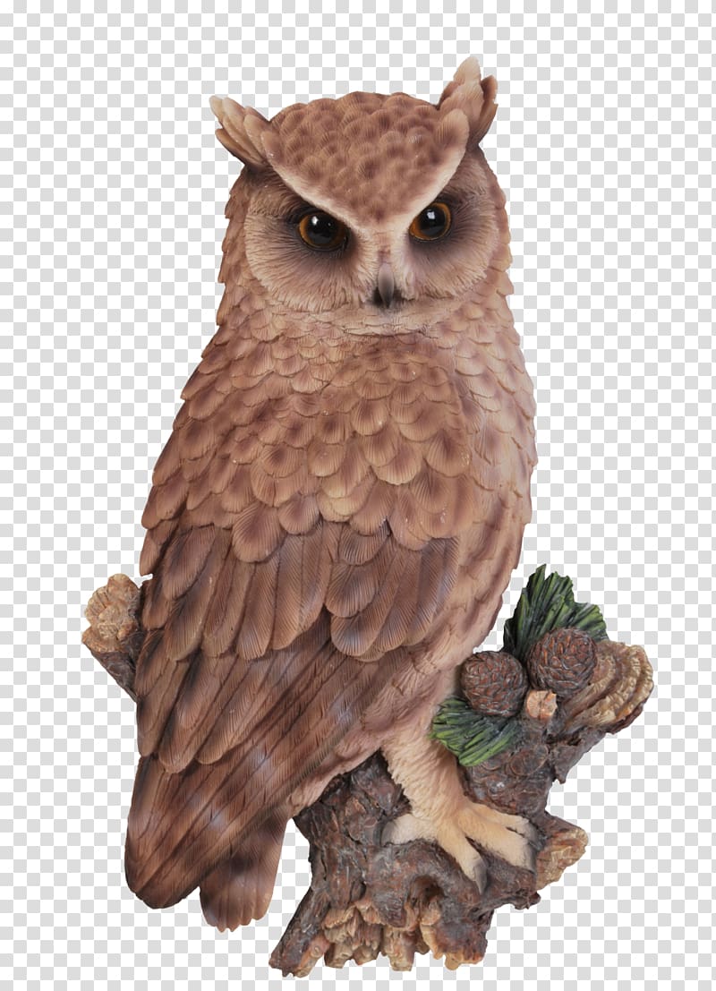 Long-eared Owl Tawny owl Short-eared Owl Little owl, owl on a tree branch transparent background PNG clipart