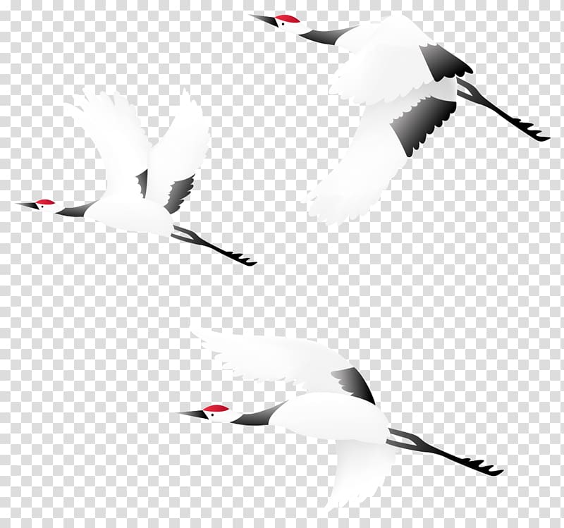 Bird Crane , CRANE BIRD transparent background PNG clipart