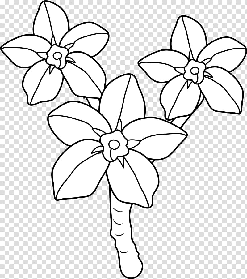 Coloring book Scorpion grasses Flower , flower transparent background PNG clipart