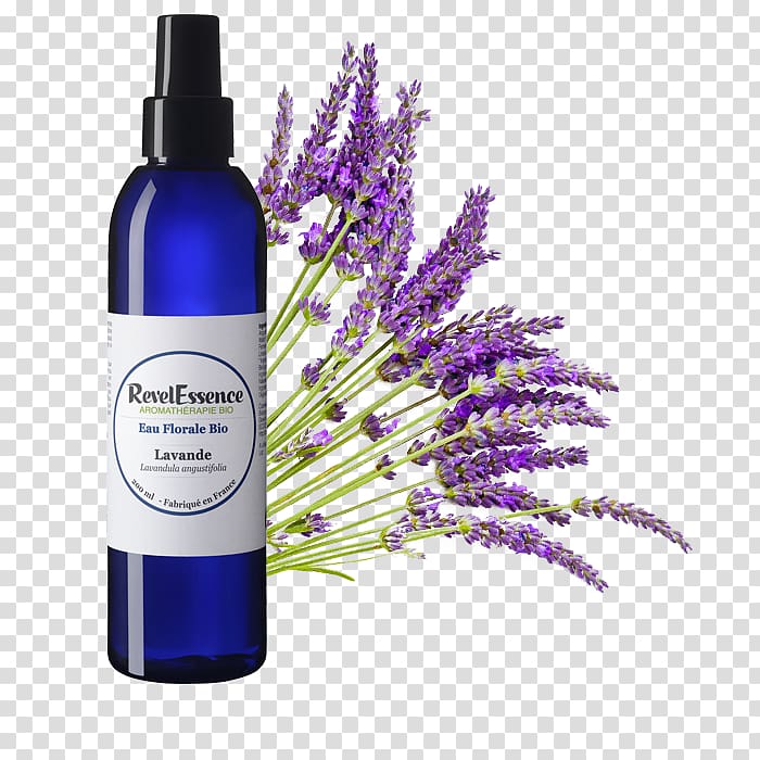 English lavender Lavender oil Essential oil Provence, oil transparent background PNG clipart