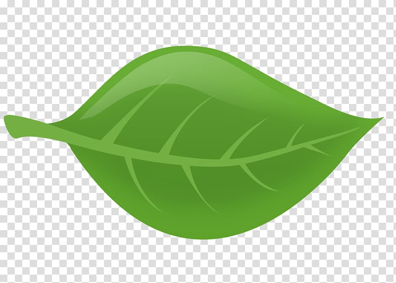 Green Leaf, green lotus leaf transparent background PNG clipart